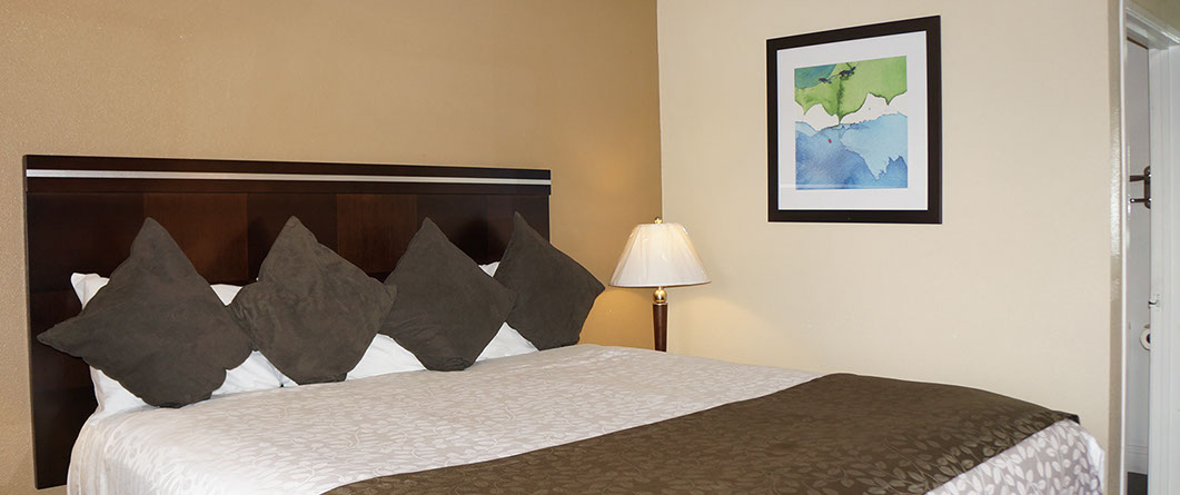 Enjoy Spacious rooms. This is a photo of a King Size Bed Guest Room. This room is not ADA accessible.