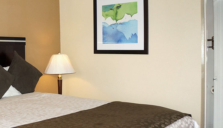 1 Queen accessible Guest room. 